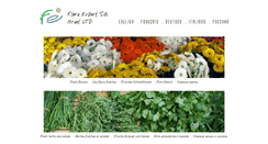 Desktop Screenshot of flora-sg.com